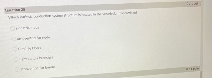 Solved Ntricular Myocardium Question 21 Rank The Amplitude 