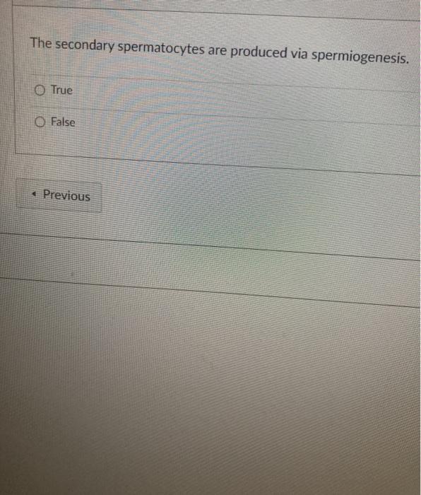 The secondary spermatocytes are produced via spermiogenesis. True False Previous