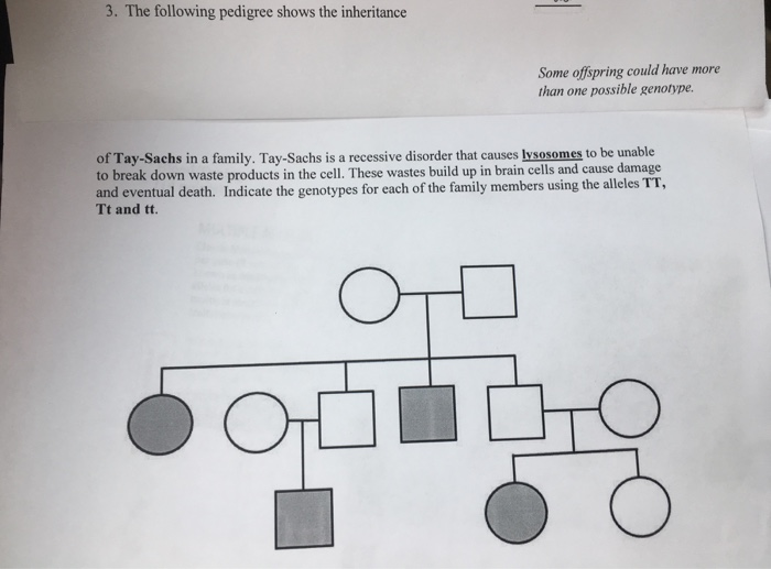 Solved 3 The Following Pedigree Shows The Inheritance Some 6206