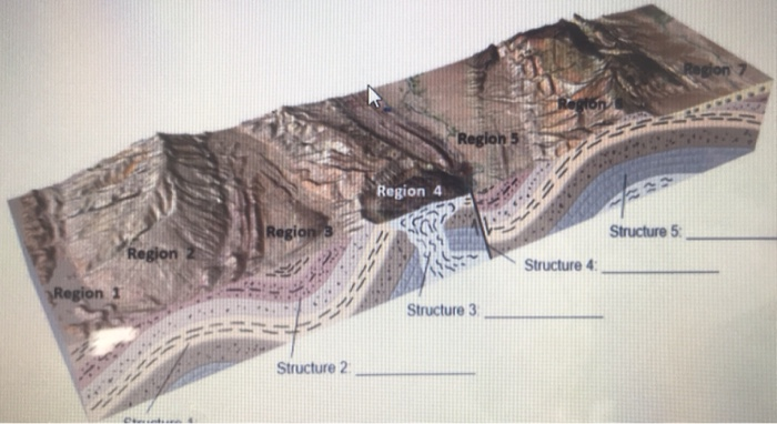 Solved For each of the regions on the image, select the | Chegg.com