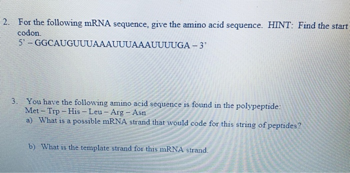 Solved 2. For the following mRNA sequence, give the amino | Chegg.com