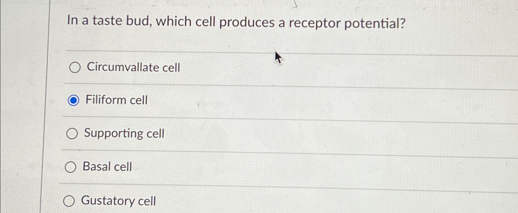 Solved In a taste bud, which cell produces a receptor | Chegg.com