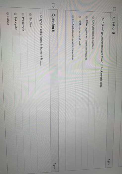 Solved Question 5 1 pts The following components are found | Chegg.com