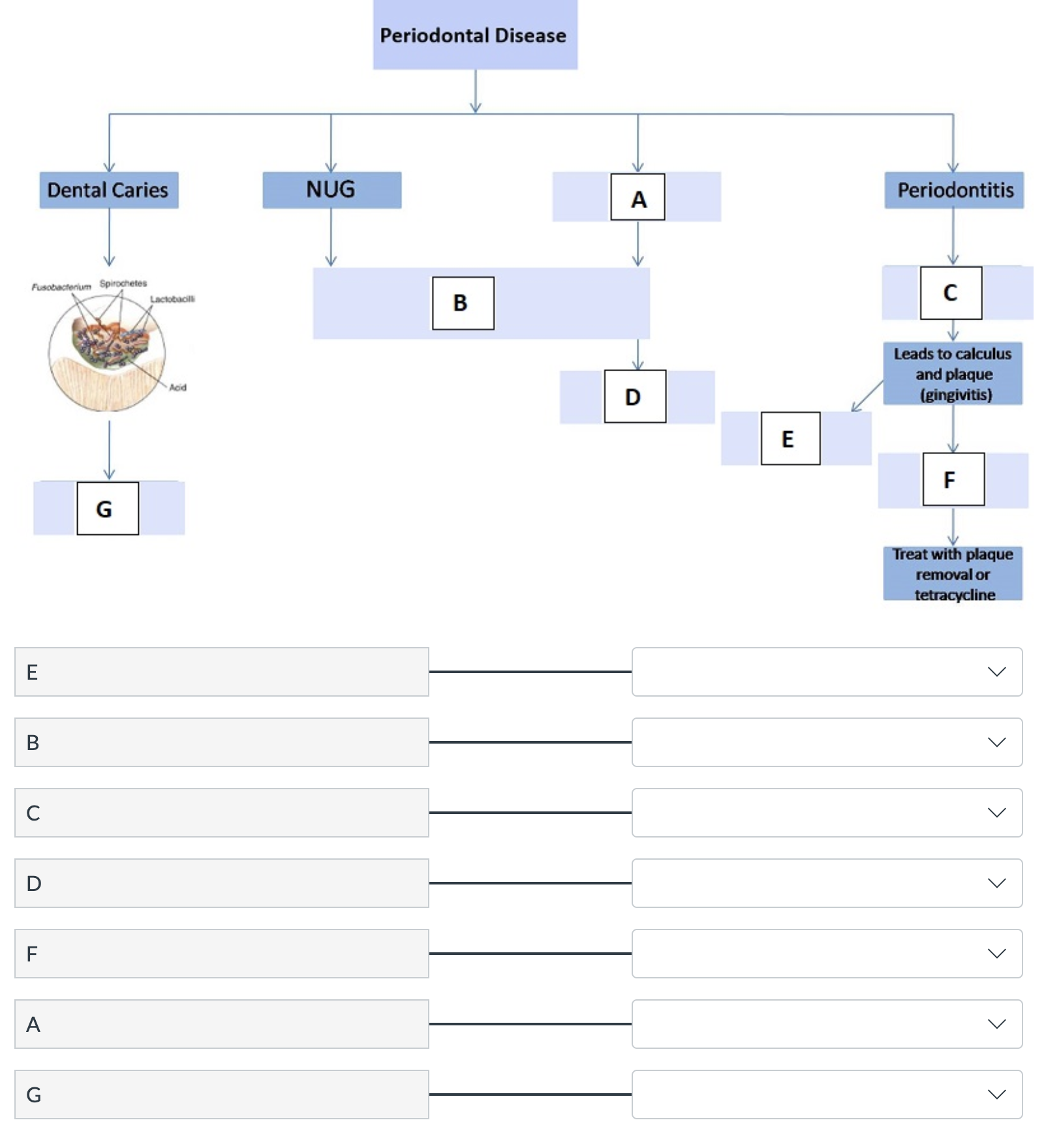 periodontal disease chart answers Periodontal