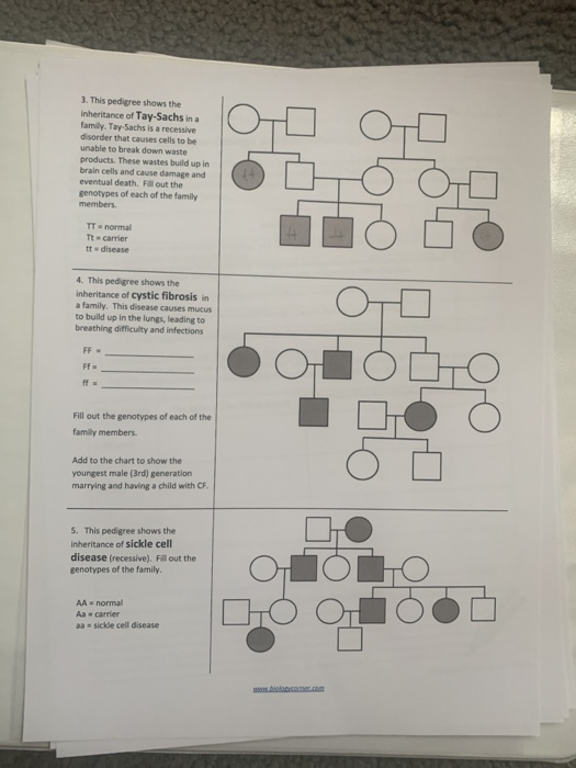 Solved 3. This pedigree shows the Inheritance of Tay-Sachs | Chegg.com