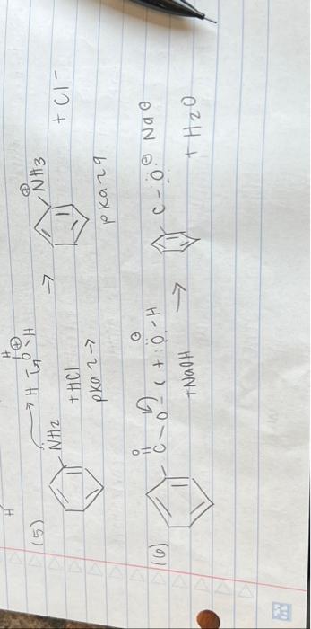 (5) → +Cl− (6) | Chegg.com