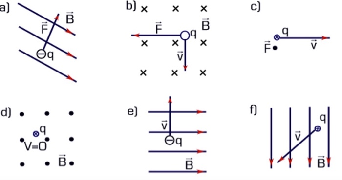 Solved Find The Direction Of The Missing Variable Force Chegg Com