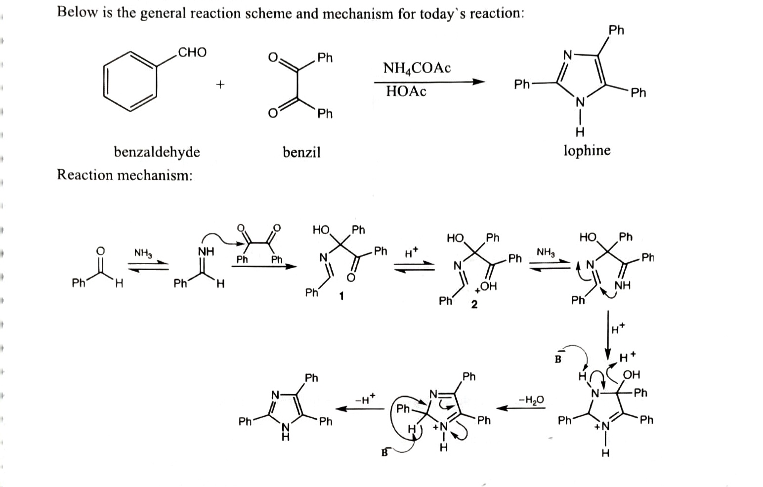 Solved Calculate the theoretical yield for the synthesis | Chegg.com