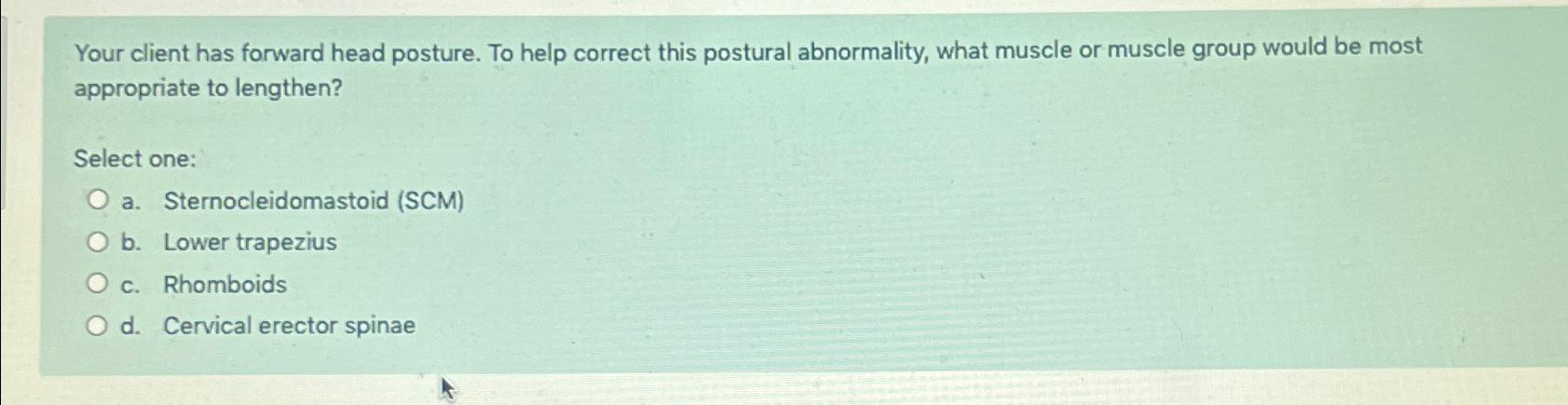 Solved Your client has forward head posture. To help correct | Chegg.com