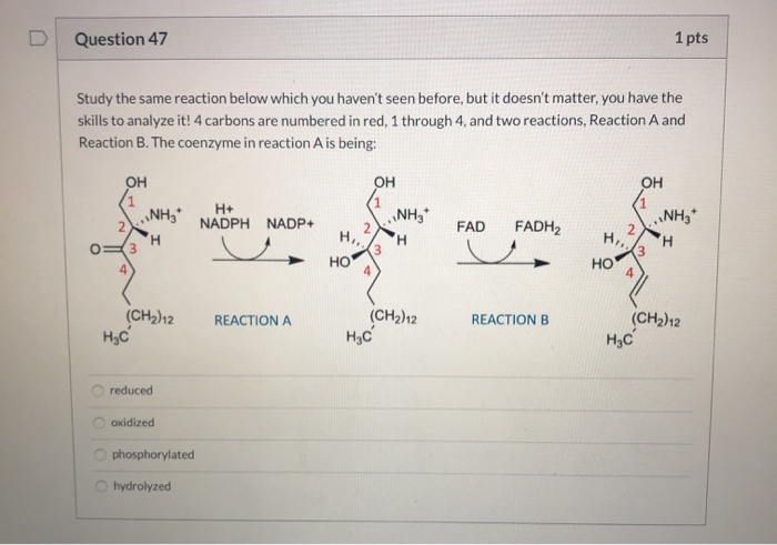 Solved Question 44 1 pts Study the reaction below which you | Chegg.com
