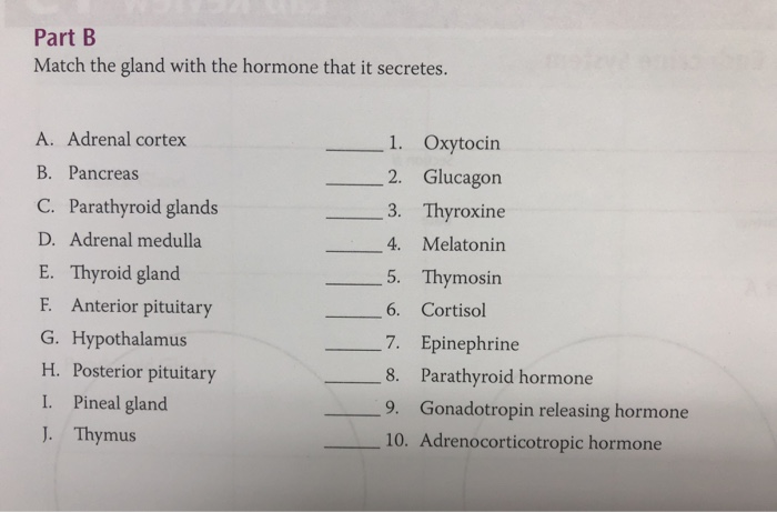 Solved Part B Match the gland with the hormone that it | Chegg.com