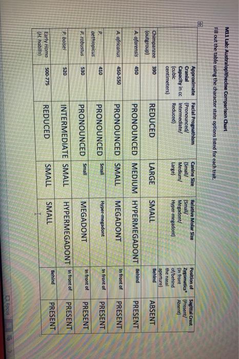 Solved M1 Lab: Australopithecine Comparison Chart Fill out | Chegg.com
