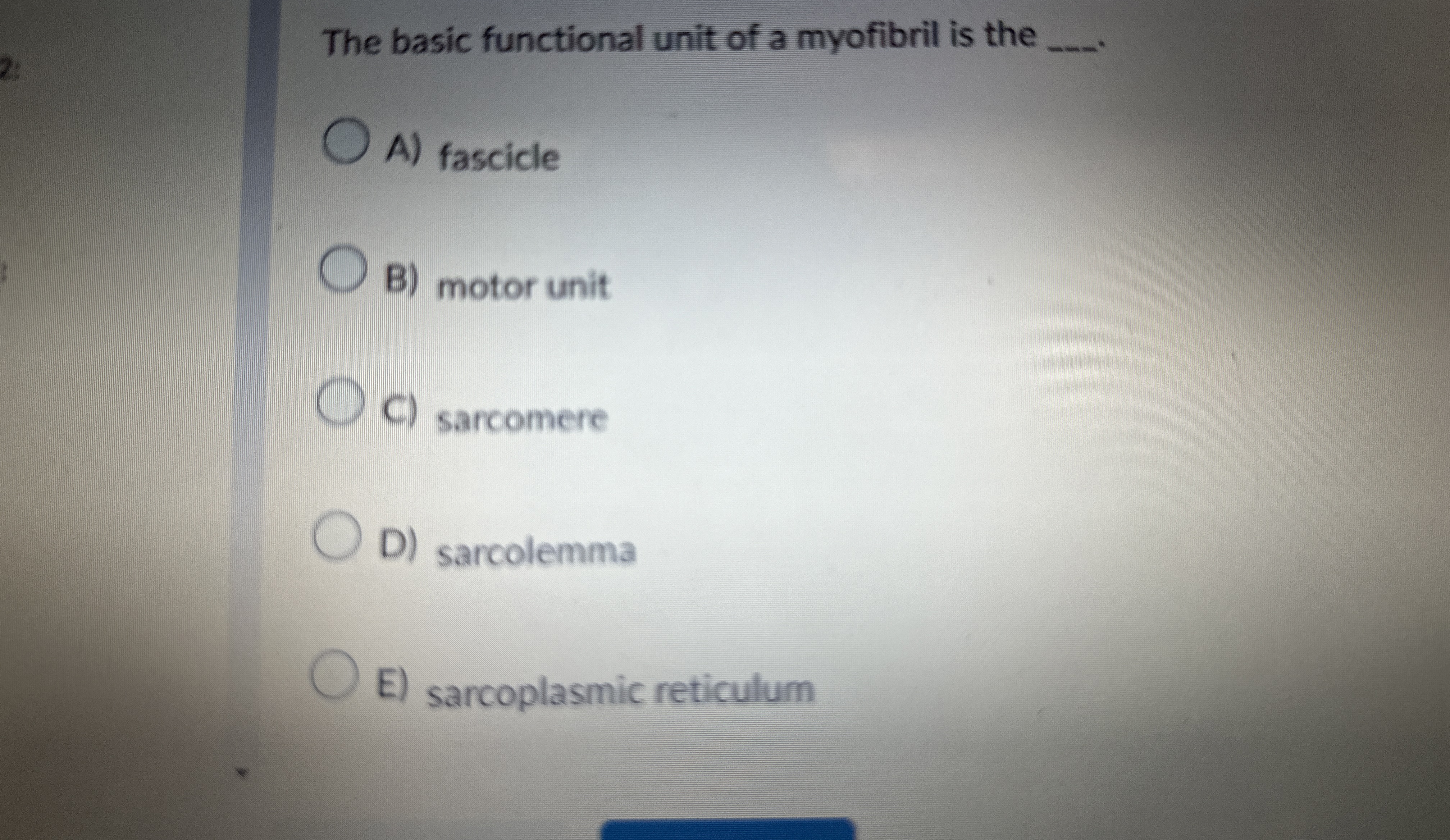 Solved The basic functional unit of a myofibril is the q,A) | Chegg.com