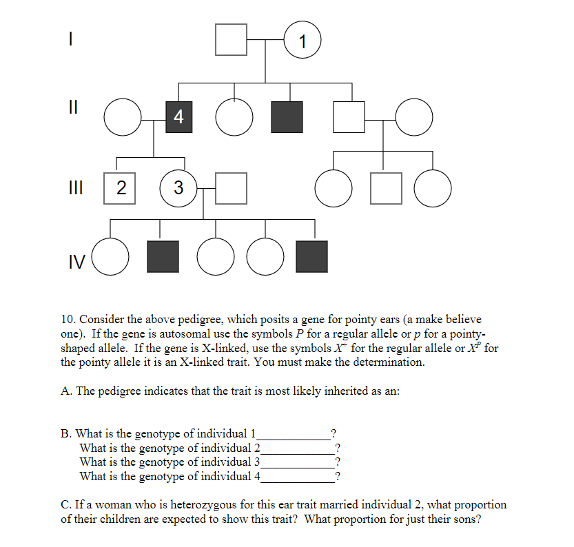 Solved Consider the above pedigree, which posits a gene for | Chegg.com
