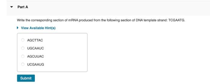 Solved Part A Write the corresponding section of mRNA | Chegg.com