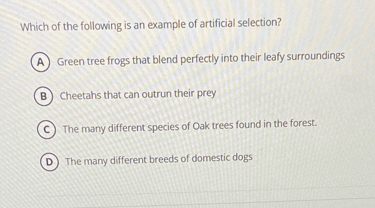 Solved Which of the following is an example of artificial