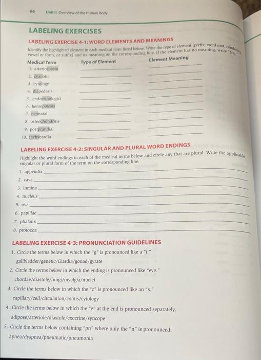 Solved 66 Unit It Overview of the Human Body LABELING