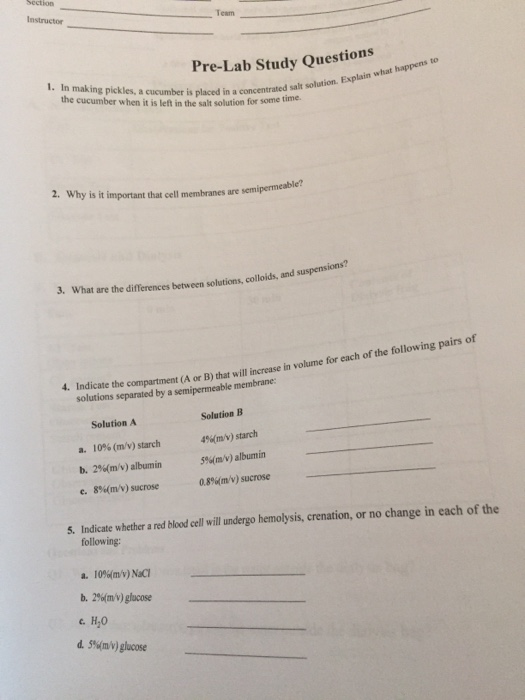 Solved Section Instructor Pre Lab Study Questions 1 In M Chegg Com