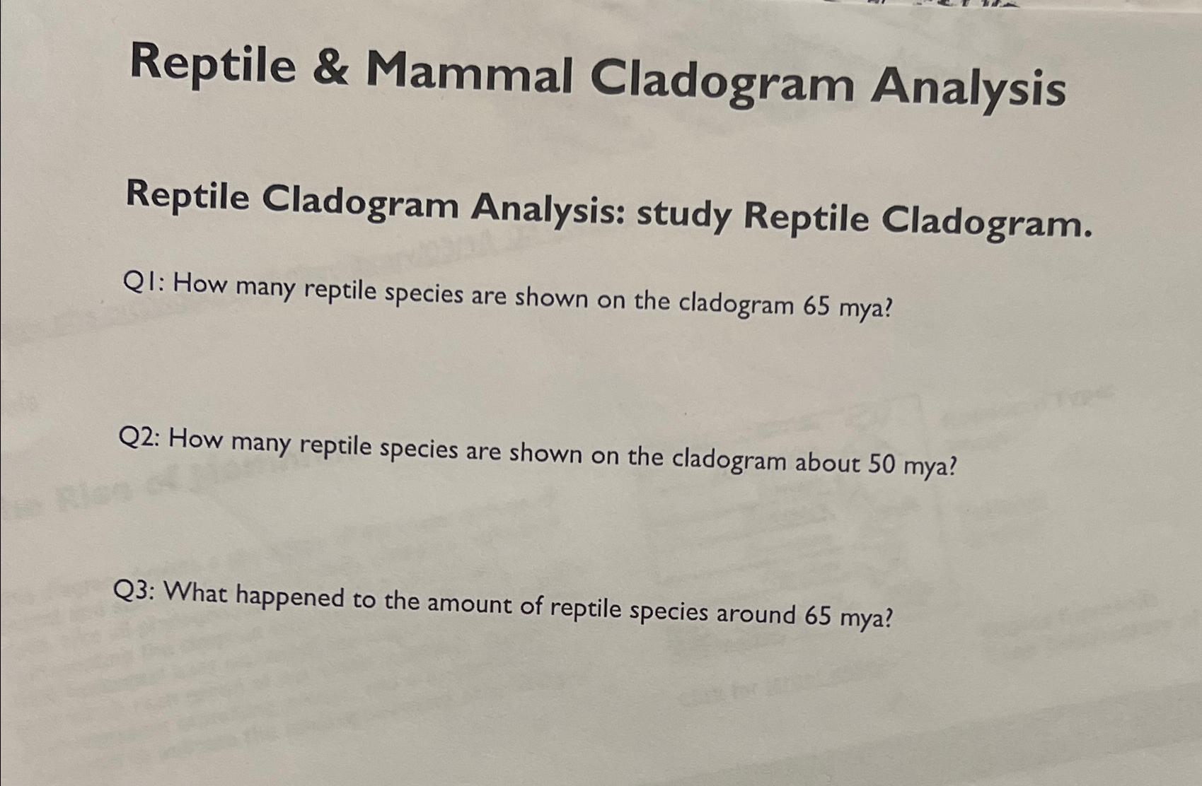 Solved Reptile & Mammal Cladogram AnalysisReptile Cladogram | Chegg.com