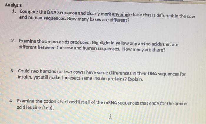 Solved Table 1: Insulin DNA Sequence for a Human DNA CCA TAG | Chegg.com