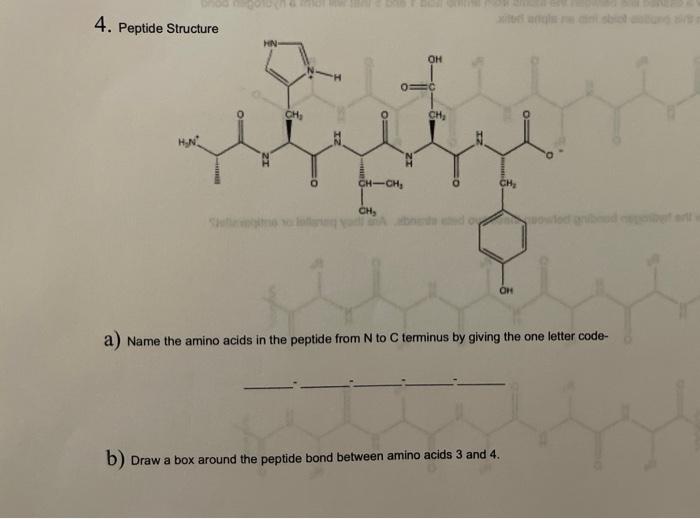 4. Peptide Structure
a) Name the amino acids in the peptide from \( N \) to \( C \) terminus by giving the one letter code-
b