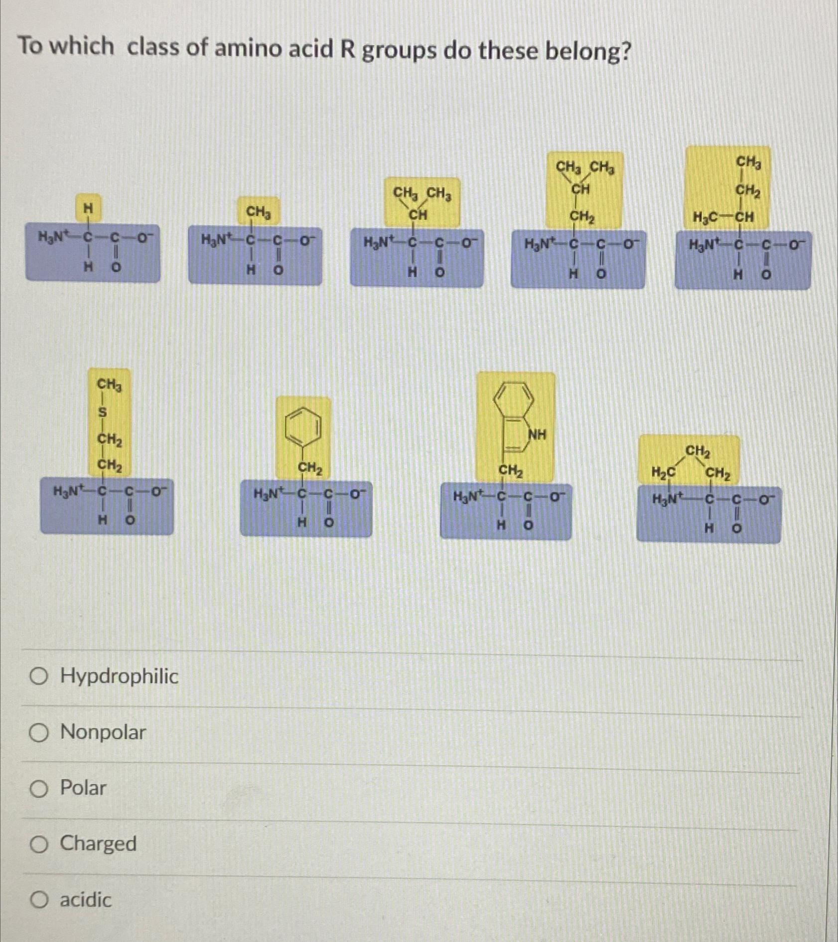 Solved To which class of amino acid R groups do these