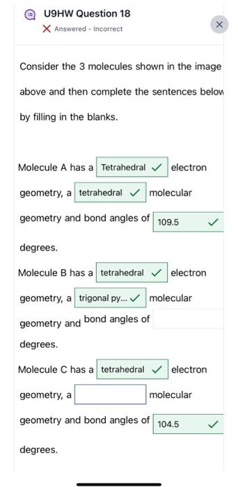 Solved X Answered - Incorrect Consider the 3 molecules shown | Chegg.com