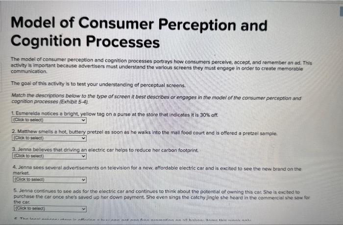 Solved Model Of Consumer Perception And Cognition Processes | Chegg.com