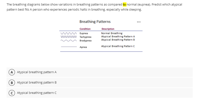 Breathing patterns