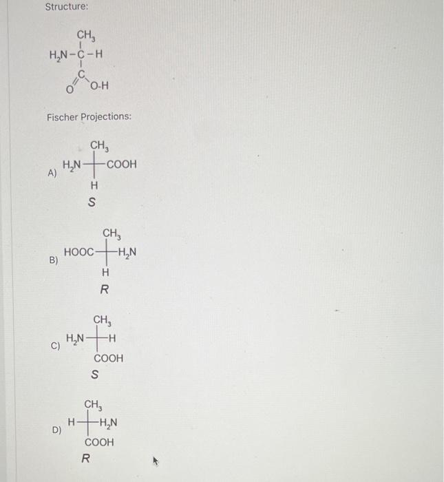 Structure:
Fischer Projections:
B)
C
D
