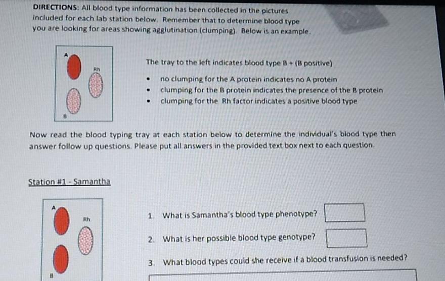 Blood Group Phenotype; 1-[O] Positive (+ve), 2-[A] +ve, 3-[B] + ve