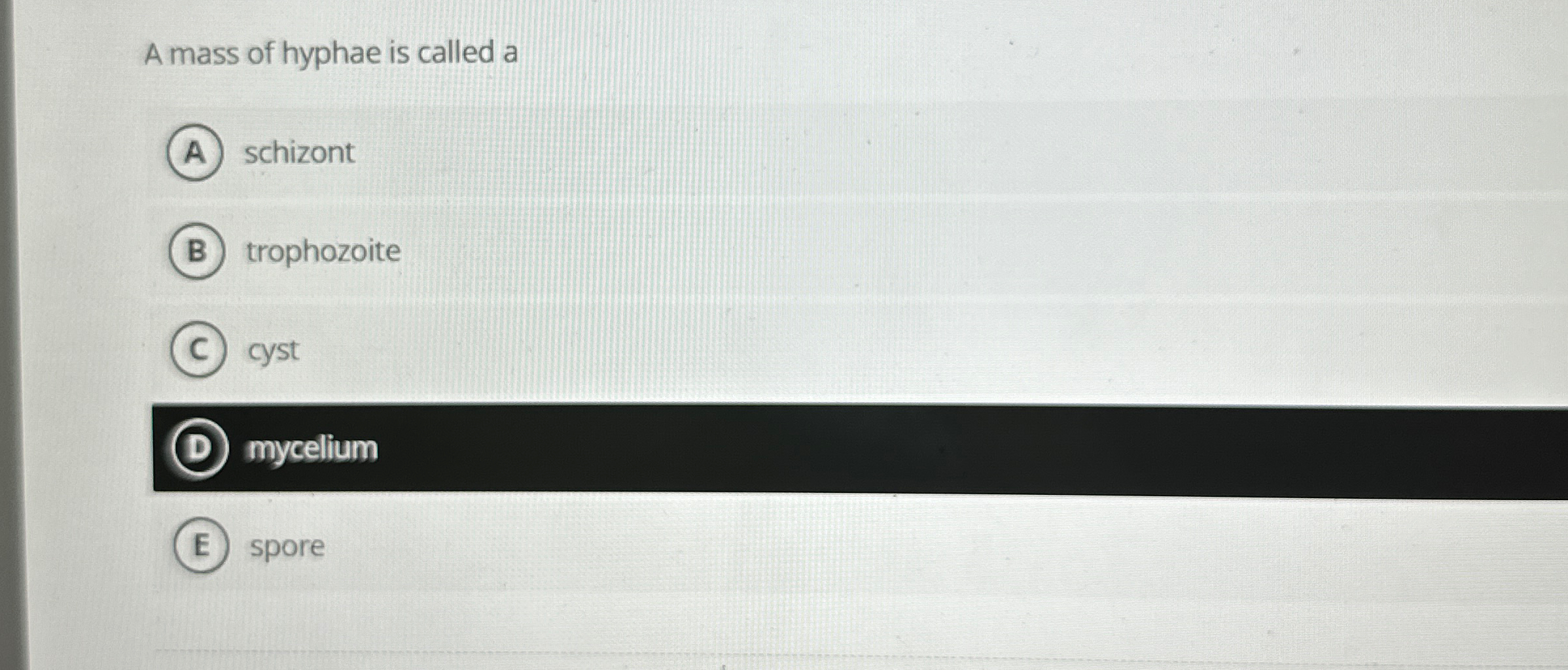 Solved A mass of hyphae is called | Chegg.com