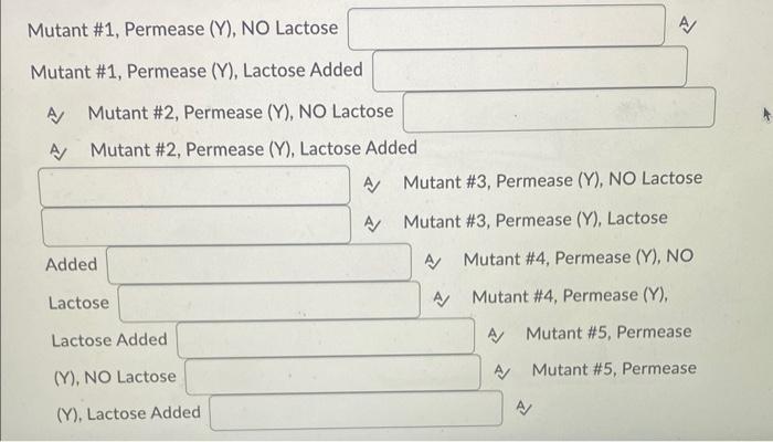 Question 3 ( 2.5 points)Mutant \#1, Permease (Y), NO | Chegg.com