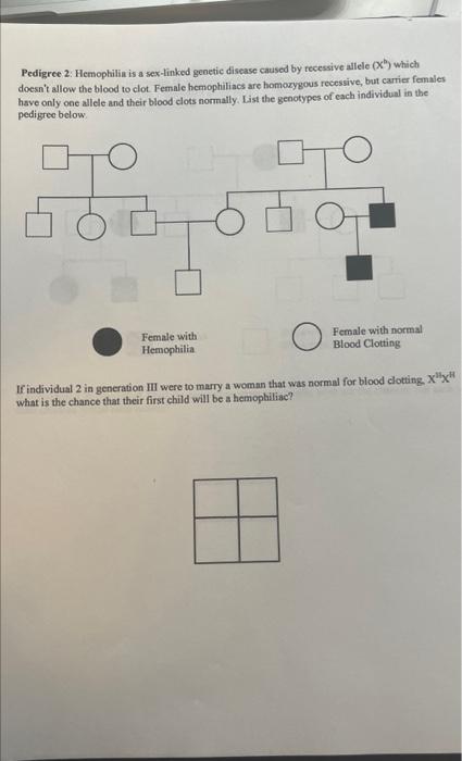 Solved Pedigree 2 Hemophilia Is A Sex Linked Genetic