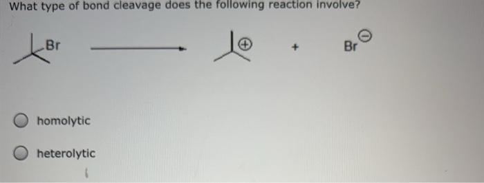 Solved What Type Of Bond Cleavage Does The Following | Chegg.com