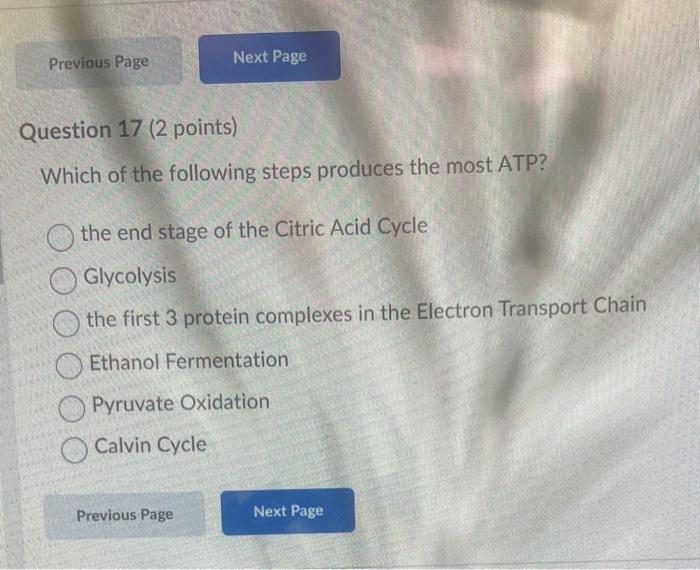 Solved Which of the following steps produces the most ATP? | Chegg.com
