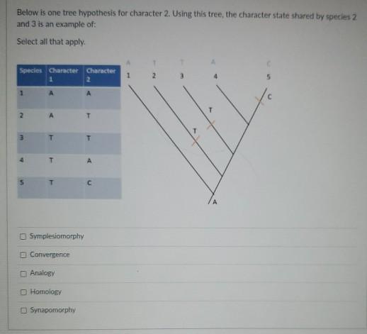 Solved Below is one tree hypothesis for character 2. using | Chegg.com