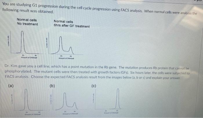 Solved You are studying G1 progression during the cell cycle | Chegg.com