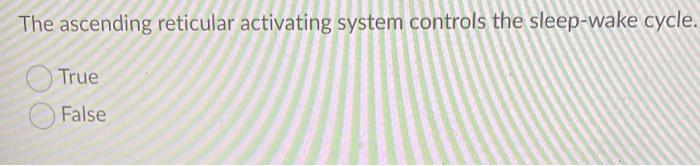 Solved The ascending reticular activating system controls | Chegg.com