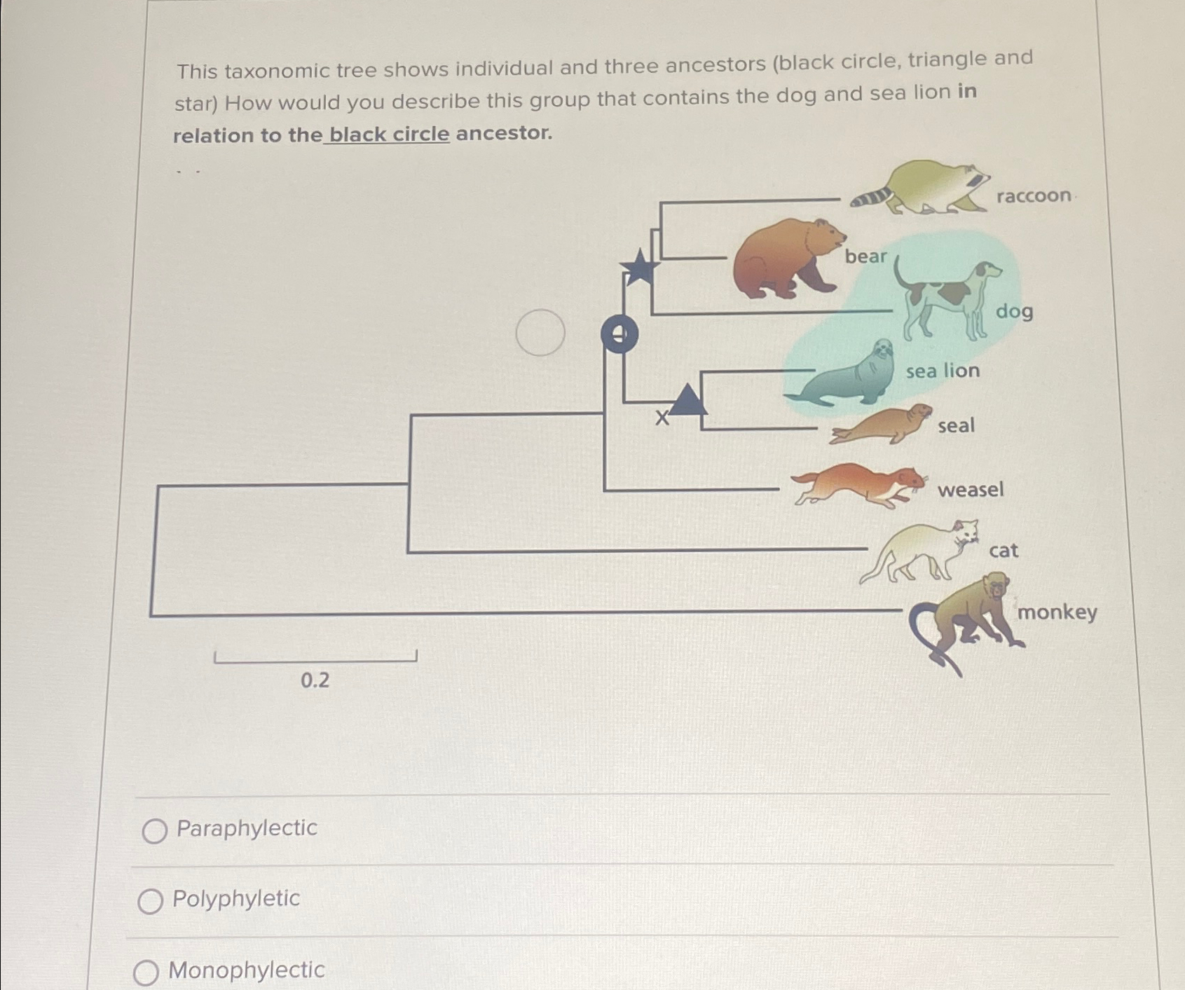 Solved This taxonomic tree shows individual and three | Chegg.com