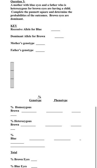 Solved Question 3: A mother with blue eyes and a father who | Chegg.com
