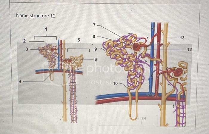 Name structure 12