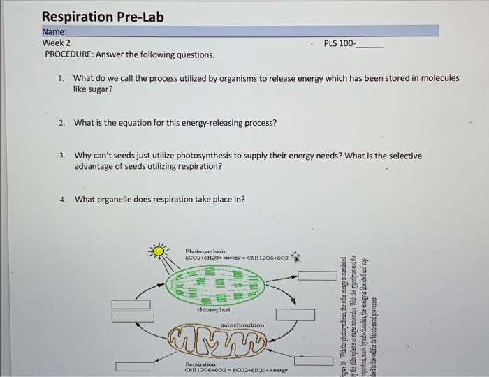 Solved Week 2 PROCEDURE: Answer The Following Questions. 1. | Chegg.com