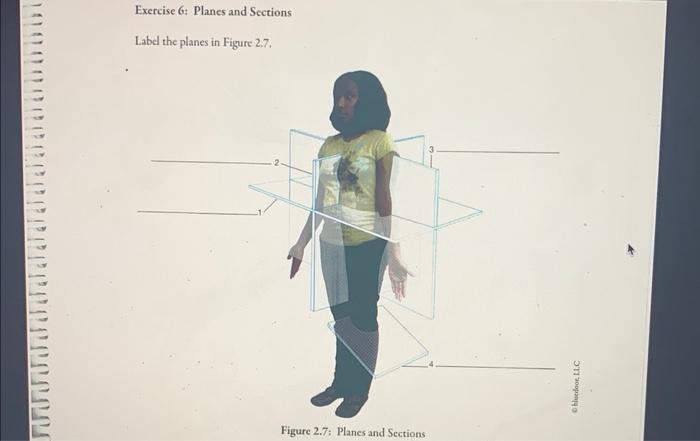 Solved Exercise 6: Planes and Sections Label the planes in | Chegg.com