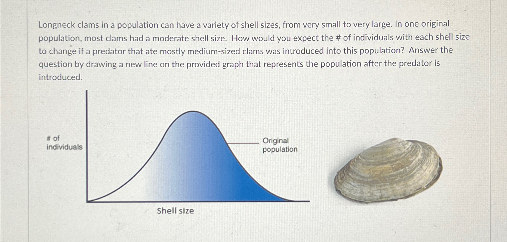 Solved Longneck clams in a population can have a variety of | Chegg.com