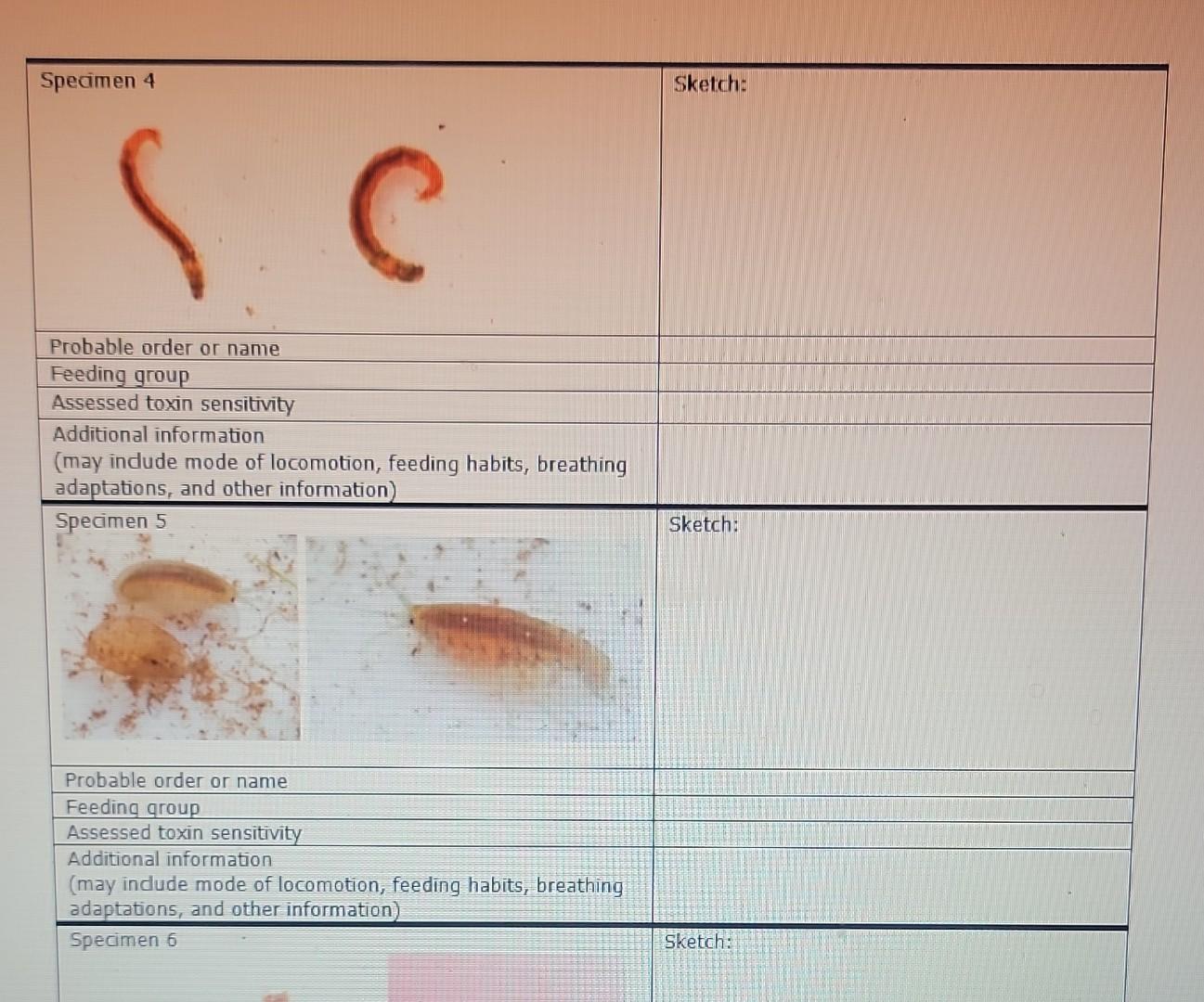 Why Are Macroinvertebrates Good Indicators Of Water Quality