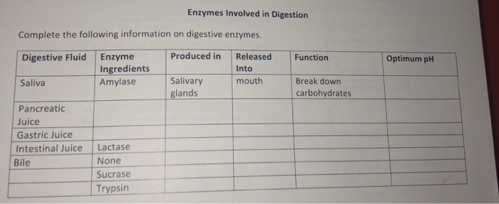 Solved Enzymes Involved in Digestion Complete the following | Chegg.com