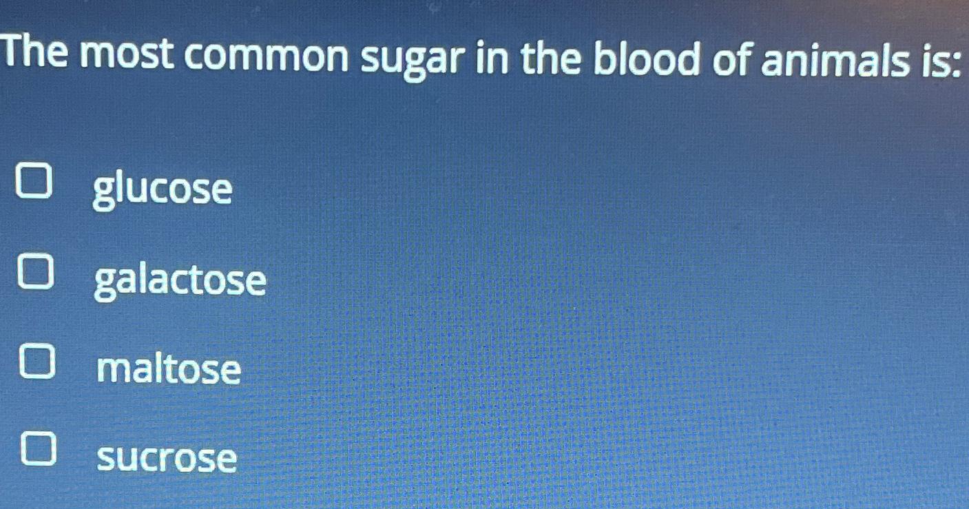 Solved The most common sugar in the blood of animals | Chegg.com