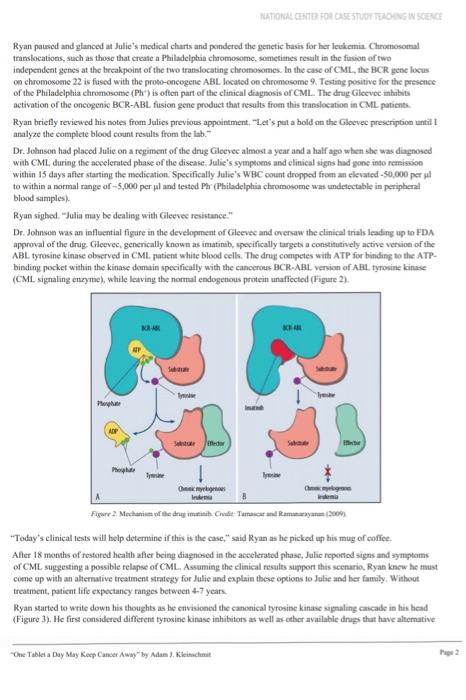 BIOL 441SL/541SL - CANCER EDUCATION: Making the Journey Less