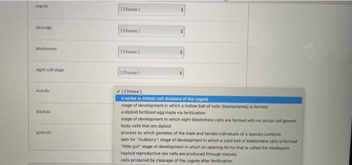 Solved Match the term on the left with its definition or | Chegg.com